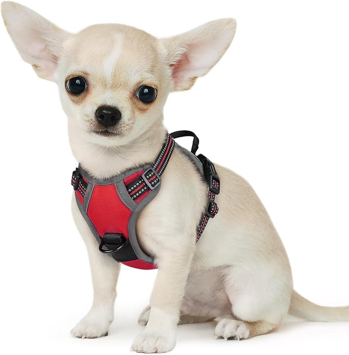 Eagloo Dog Harness for Small Dogs, No Pull Pet Vest with 2 Leash Clips | No Choke with Handle, Adjustable Comfort Fit, Reflective Strips, Easy Walking Control, Red, X-Small by GoExplorewithEagloo