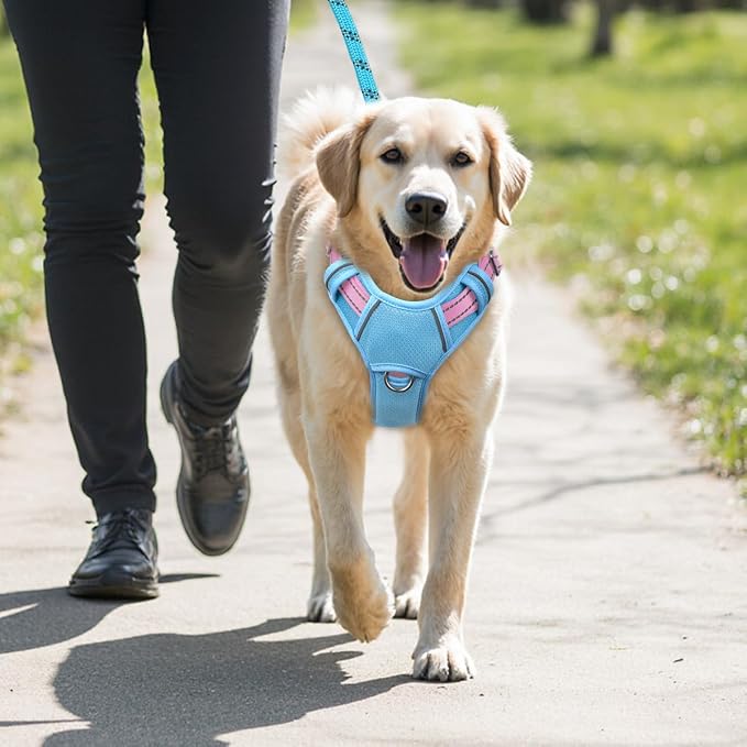 BARKBAY No Pull Dog Harness Large Reflective Dog Harness with Front Clip and Easy Control Handle for Walking Training Running with ID tag Pocket(Baby Blue & Baby Pink,M) - Image 9
