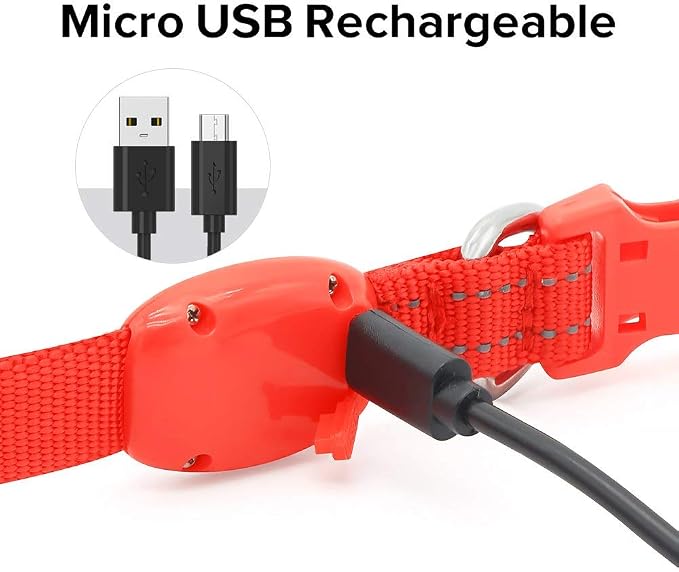 LED Dog Collar - Rechargeable Light Up Dog Collar for Small Dogs& Cats, Reflective Adjustable Puppy Collar Safety Dog Lights for Night Walking (Red, XS) - Image 3