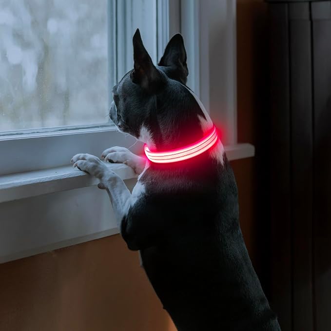 Light Up Dog Collars Rechargeable, Reflective LED Glow Dark Dog Collar for Small Medium Large Dogs, Adjustable Pet Dog Lights for Safe Night Walk-Pink, Large - Image 2