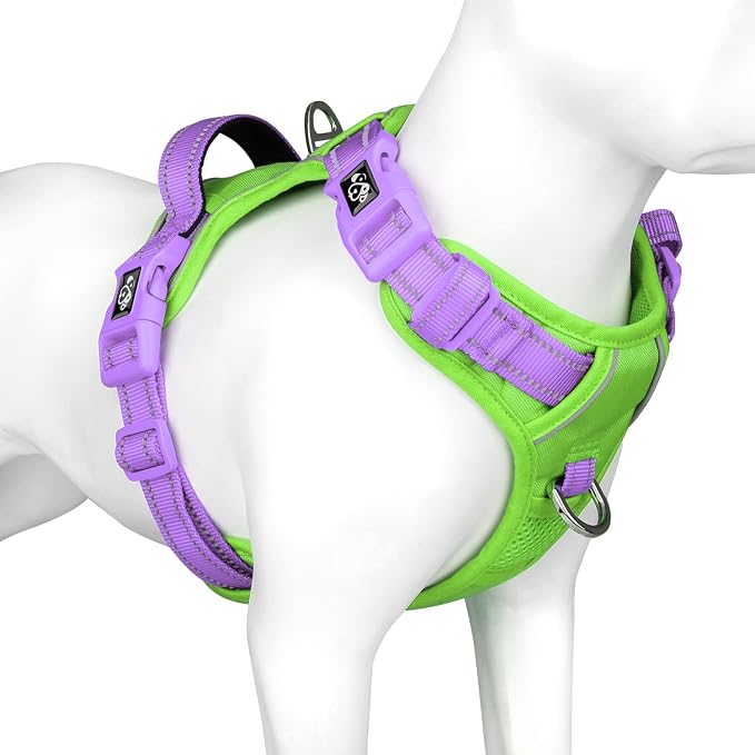 No Pull Dog Harness, Unique Colors Reflective Adjustable Dog Vest | with Soft Training Handle Metal Clips for Small Medium Large Dogs (Green Base & Purple Straps,L) by PHOEPET