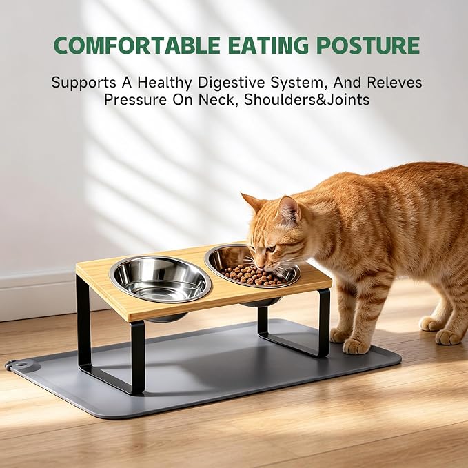Elevated Tilted Cat Food Bowls with Mat, 304 Stainless Steel 2 Water Bowls1 | 15° tilted elevated cat feeder anti-vomiting, reduces whisker fatigue; 2 detachable stainless bowls fit cats & small dogs - Image 2