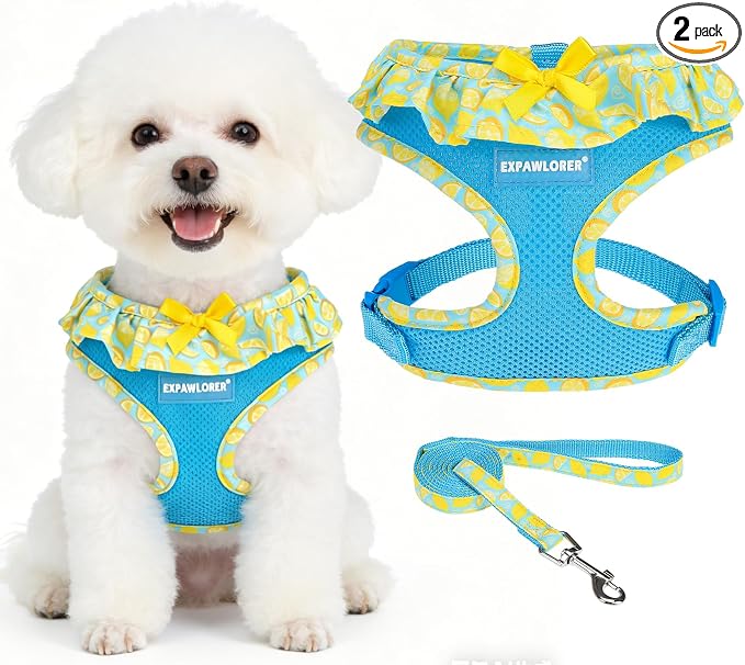EXPAWLORER Step-in Dog Harness Small Sized and Leash Set | Cute Small Dog Harness No Pull Girl, Breathable Soft Mesh Padded, Adjustable Light Puppy Vest for Dogs Cats, Lemon M by EXPAWLORER