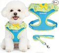 EXPAWLORER Step-in Dog Harness Small Sized and Leash Set | Cute Small Dog Harness No Pull Girl, Breathable Soft Mesh Padded, Adjustable Light Puppy Vest for Dogs Cats, Lemon M by EXPAWLORER