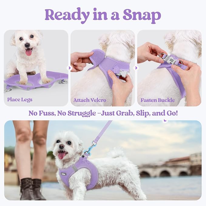 rabbitgoo Dog Harness Medium Sized and Leash Set, Step-in Puppy Pet Vest | Light, Soft, Breathable Air Mesh, Easy on and Remove with Hook & Loop, Secure Reflective for Walking, Light Purple XXL - Image 8
