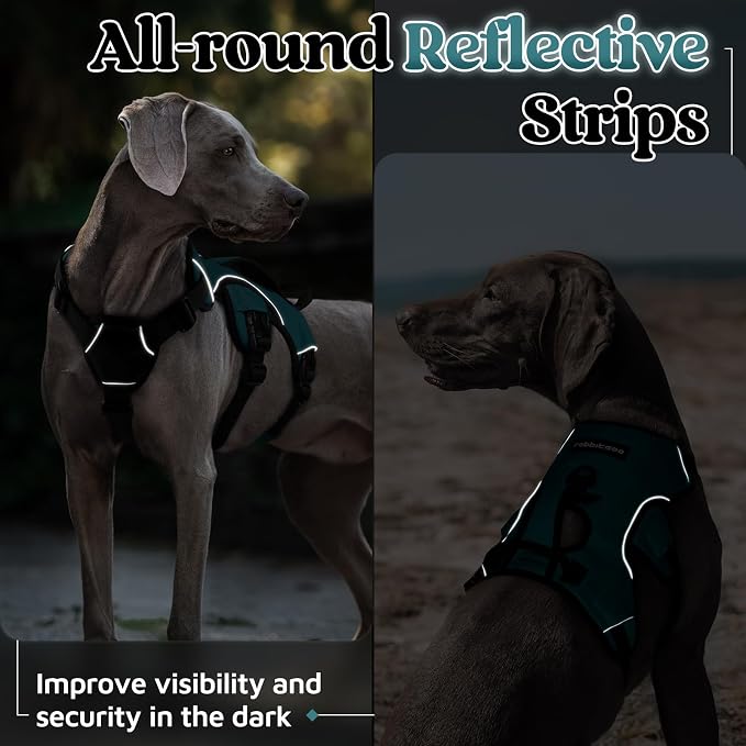 rabbitgoo Escape Proof Dog Harness for Large, No Pull with Lift Handle | No Escape, Full Soft Padded, Reflective Adjustable Vest, Leash Clip for Walking Hiking Training, Dark Green, Large - Image 8