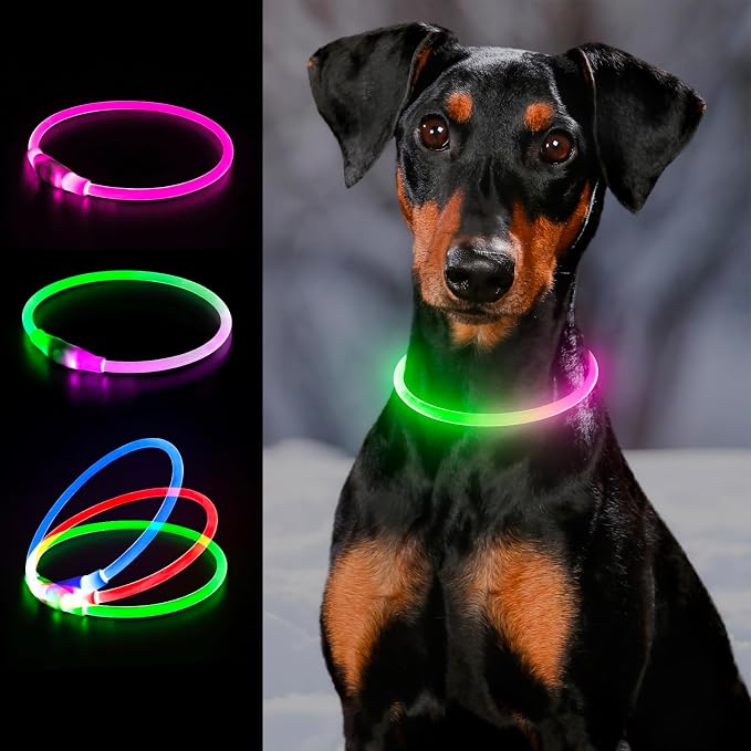 Light up Dog Collar, LED Dog Collar USB Rechargeable, YFbrite Waterproof Dog Collar Light for Small, Medium, Large Dogs & Cats (Pink+Green) by YFbrite
