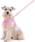 rabbitgoo Dog Harness Medium Sized and Leash Set, Step-in Puppy Pet Vest | Light, Soft, Breathable Air Mesh, Easy on and Remove with Hook & Loop, Secure Reflective for Walking, Light Pink XXL by rabbitgoo