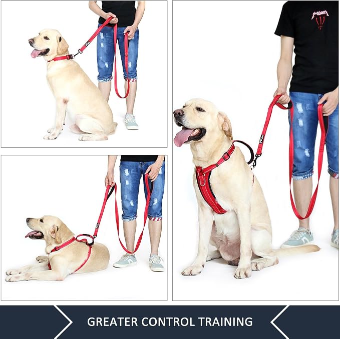 Plutus Pet Double Handle Dog Leash, 5 FT Long, for Medium Large Dogs | Reflective Nylon, Soft Padded 2 Handles, Heavy Duty for Training, Dual Handle Lead, 5 FT x 1”, Red - Image 3
