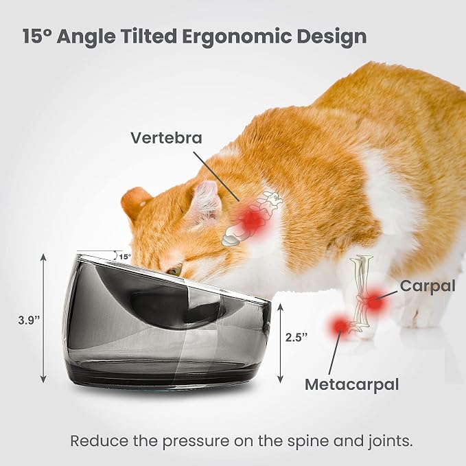 Felli Oblik Elevated Cat Bowl Removable Stainless Steel Wide Dish for Dry Wet Food Feeding & Dishwasher Clean, Slanted Whisker Fatigue Friendly Metal Plate (Smoky, 0.5 Cups Shallow Dish) - Image 8