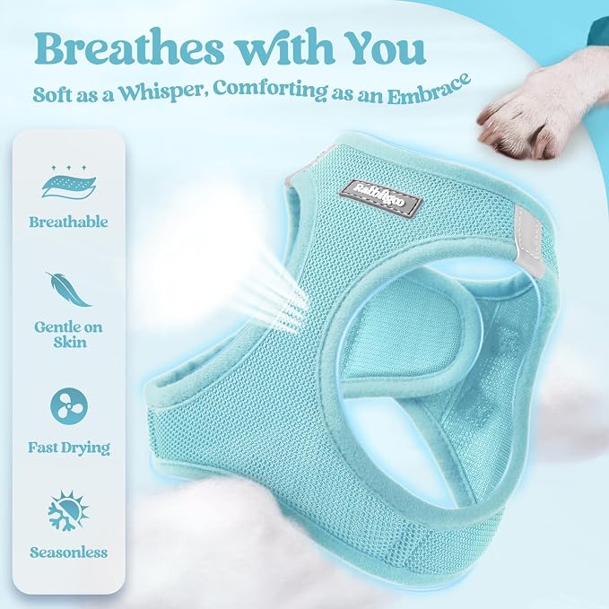 rabbitgoo Dog Harness Small Sized and Leash Set, Step-in Puppy Pet Vest | Light, Soft, Breathable Air Mesh, Easy on and Remove with Hook & Loop, Secure Reflective for Walking, Mint Blue XS - Image 3