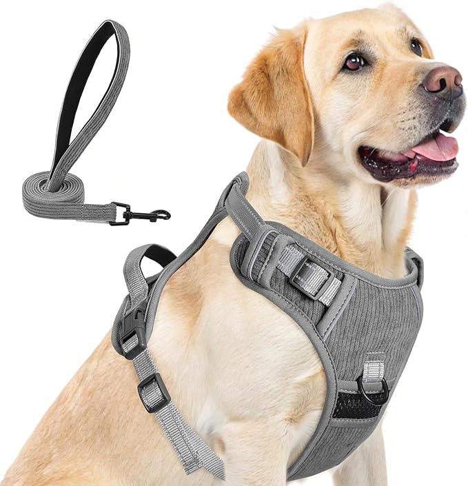 BEAUTYZOO No Pull Dog Harness and Leash Set, Step in Puppy Pet Vest, Large | Reflective with Handle, Adjustable Soft Padded, Easy Control for Walking, No Choke Escape Proof, Lightweight, Grey by BEAUTYZOO