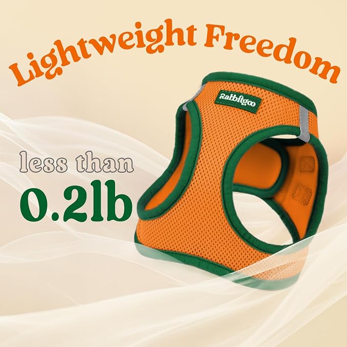 rabbitgoo Dog Harness Small Sized and Leash Set, Step in Soft Vest | Breathable Mesh, Easy Wear with Hook & Loop, Light and Reflective for Walking, Multi-colored, Orange & Dark Green, L - Image 7