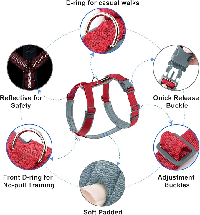 Plutus Pet No Pull Dog Harness, Adjustable Nylon Harness with Soft Padding | Reflective with Front Clip, Heavy Duty for Training and Walking, for Small Medium Large Dogs, Red, L - Image 2