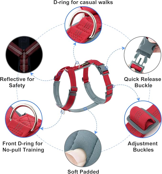 Plutus Pet No Pull Dog Harness, Adjustable Nylon Harness with Soft Padding | Reflective with Front Clip, Heavy Duty for Training and Walking, for Small Medium Large Dogs, Red, XS - Image 2