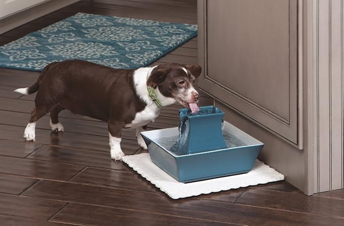 PetSafe Cat and Dog Water Fountain - Automatic Water Dispenser - Drinkwell Pagoda Ceramic Fountain for Pets - Filter Included - Blue - 70 oz, Model:PWW00-14898 | 2 Falling Water Streams Encourage Hydration, Cat & Small Dog Water Fountain, Carbon Filter... - Image 2