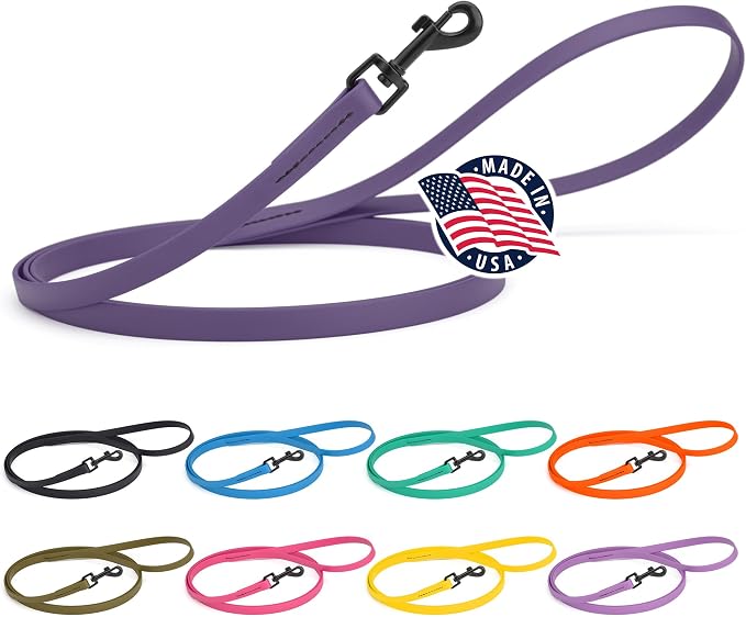 Dogline Biothane Waterproof Dog Leash Strong Coated Nylon Webbing with Black Hardware Odor-Proof Easy to Clean High Performance for Small or Large Dogs Made in USA 4 or 6 ft Lead, Violet Purple by Dogline