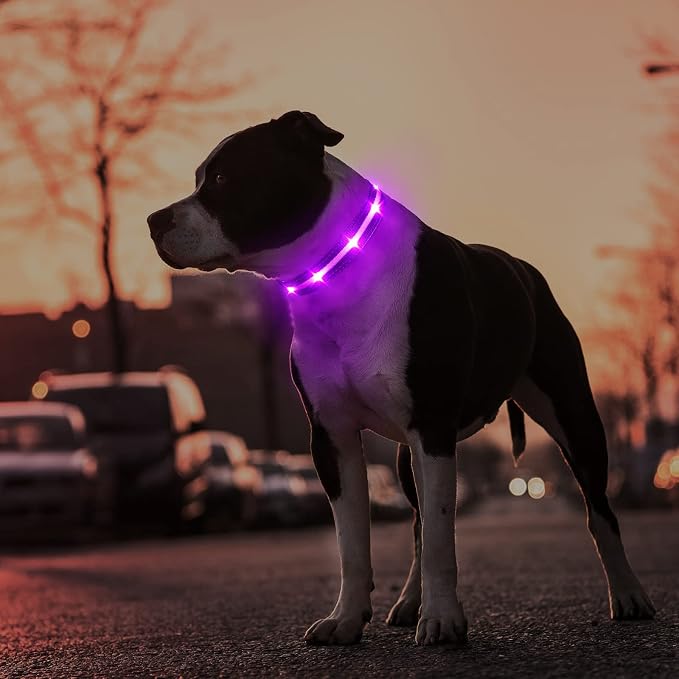 MASBRILL Led Dog Collar - Rechargeable, Water-Resistant, Flashing Glowing Collar for Night Walking - S(15.75 * 0.98in) - Image 5