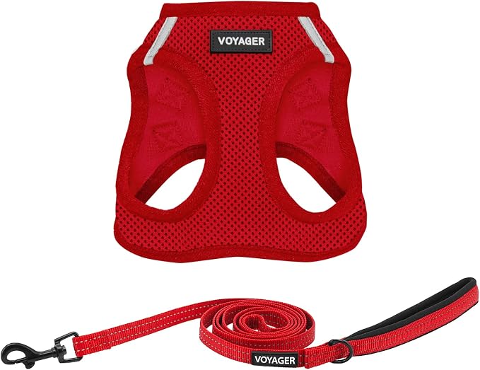 Best Pet Supplies Voyager Step-in Air All Weather Mesh Harness and Reflective Dog 5ft Leash Combo with Neoprene Handle, for Small, Medium and Large Breed Puppies - Red, Medium by BestPetSuppliesLLC