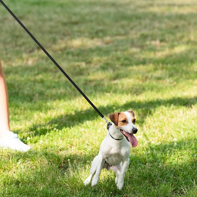 Hypeety Dog Training Leash Strong Nylon Lead for Training Walking, 3pcs | 3-pack nylon leashes, 5ft long with sturdy hook, sturdy lightweight traction rope, for puppy/dog/cat/rabbit, red/blue/black - Image 6