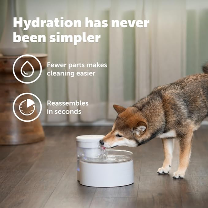 PetSafe Outlast Pumpless Cat Water Fountain, 60 oz/1.7L, Dishwasher Safe | Pumpless HydroSpin Design Circulates 60 Oz Water, Ion-x Carbon/Ion-Exchange Filter, Smart Sensors Slow Flow at Night - Image 7