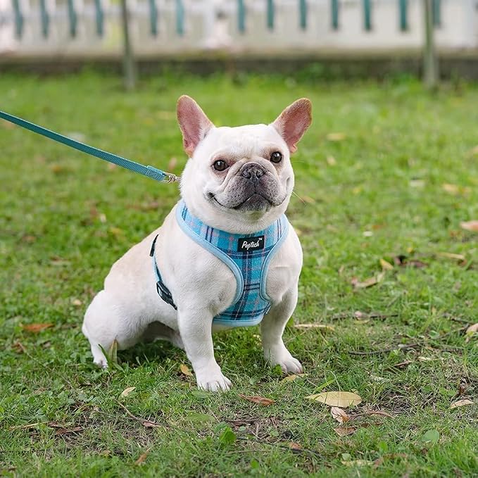 PUPTECK Small Dog Harness and Leash Set No Pull for XS XXS Sized Dogs Puppy | Escape Proof No Choke Pet Cat Adjustable Soft Padded Walking Vest - Image 6