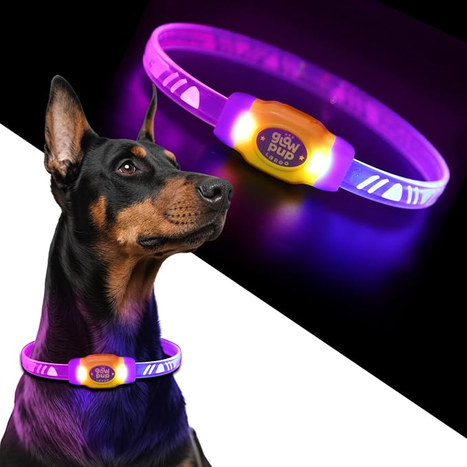 LaRoo LED Light Up Dog Collar, Multi-Color Glowing Safety Pet Collar, USB Rechargeable, Adjustable, Night Walk High Visibility Collar Safety Dog Light for Small Medium Dogs(Purple) - Image 8