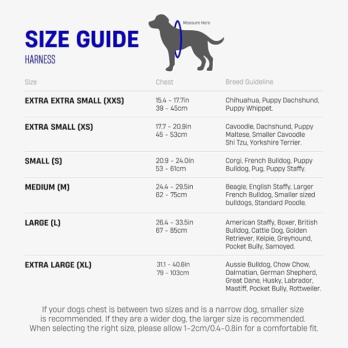 Dog Friendly Co. Dog Harness for Small Dogs (Sky Blue, Extra Small) | One Click Buckle, Chafe Resistant Webbing, Adjustable Neck & Chest, and Heavy Duty D-Ring, Sturdy Comfortable and Easy to Use - Image 7