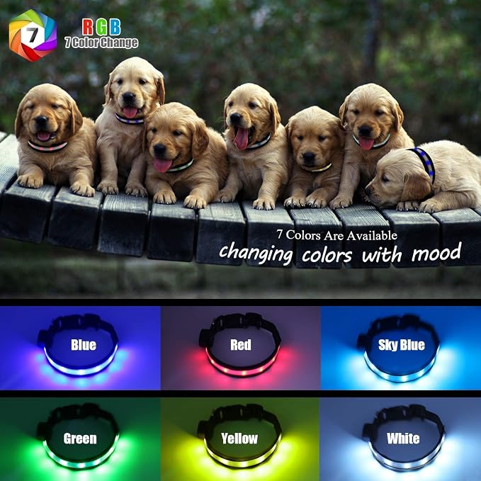 Light Up Dog Collars,Safety LED Dog Collars USB Rechargeable 7 Changing Colors Glow in The Dark Dog Walking Light,Neon Adjustable Safety Buckle Lighted Dog Collar for Small/Medium/Large Dogs, XL Size - Image 2