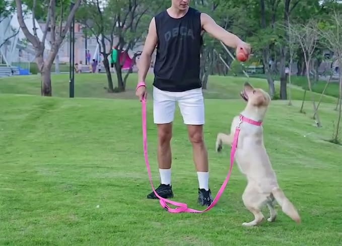 AMAGOOD Long Dog Training Leash 20 FT - Heavy Duty Lead for Obedience Recall Agility Training, Tie Out, Camping - Pink - for Small and Medium Dogs - Image 3