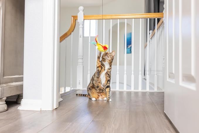 SPOT A-Door-Able Plush Bird Cat Toy | Rattle and Catnip Cat Toy Provides Hours of Entertainment for Your Cat | Hangs on Any Size Door Frame - Image 4