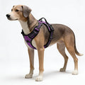 Purple No-Pull Dog Harness with 2 Leash Clips，Soft Padded Vest for Large Dog, Adjustable Reflective Dog Vest Easy to Put on and Take Off,Neck: 18"~26", Chest: 25"~34",Purple XL by Unknown