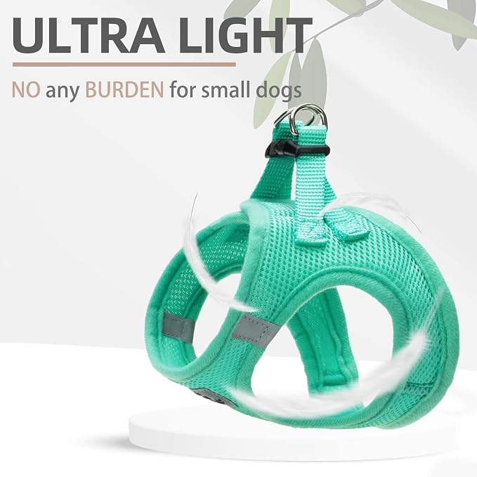 PUPTECK Dog Harness, Collar and Leash Set No Pull for Small Medium Sized | Soft Mesh Puppy Step-in Escape Proof Reflective No Choke Pet Cat Adjustable Walking Vest - Image 6