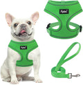 PUPTECK Small Dog Harness and Leash Set No Pull for XS XXS Sized Dogs Puppy | Escape Proof No Choke Pet Cat Adjustable Soft Padded Walking Vest by PUPTECK