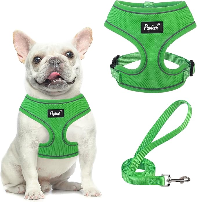 PUPTECK Small Dog Harness and Leash Set No Pull for XS XXS Sized Dogs Puppy | Escape Proof No Choke Pet Cat Adjustable Soft Padded Walking Vest by PUPTECK