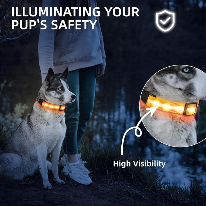 Super Bright LED Dog Collar, Waterproof Light up Collars(Orange, Large) | Lighted Dog Collar with Adjustable Fit, Soft Nylon Comfort, USB-C Rechargeable, Glow in the Dark Visibility for Night Walks - Image 3