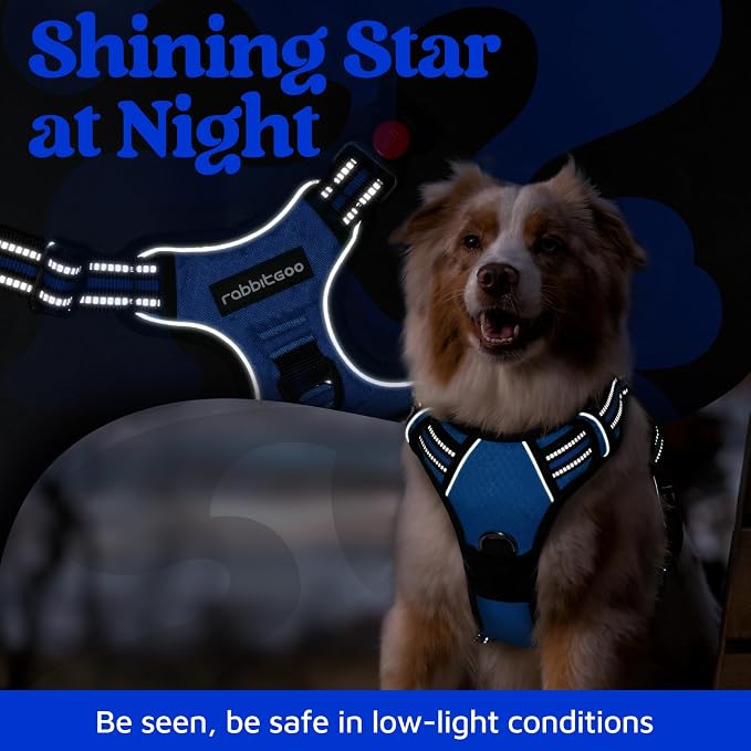 rabbitgoo Dog Harness for Large, No Pull 3 Buckles Easy On & Off | Soft Padded, Walking with Control Handle, Adjustable and Reflective, Royal Blue, X-Large - Image 7