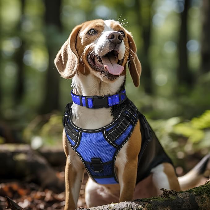 Joytale Reflective Dog Collar, Adjustable Neoprene Padded, Navy Blue XL | Breathable Nylon for Large Breeds, No Chafing on Hikes and Outdoor Use, Tear-Resistant Webbing, Metal D-Ring, Night Safety - Image 2