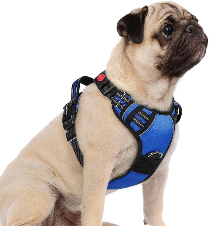 rabbitgoo Dog Harness Small Sized, No Pull 3 Buckles Easy On & Off | Soft Padded, Walking with Control Handle, Adjustable and Reflective, Royal Blue, Small by rabbitgoo