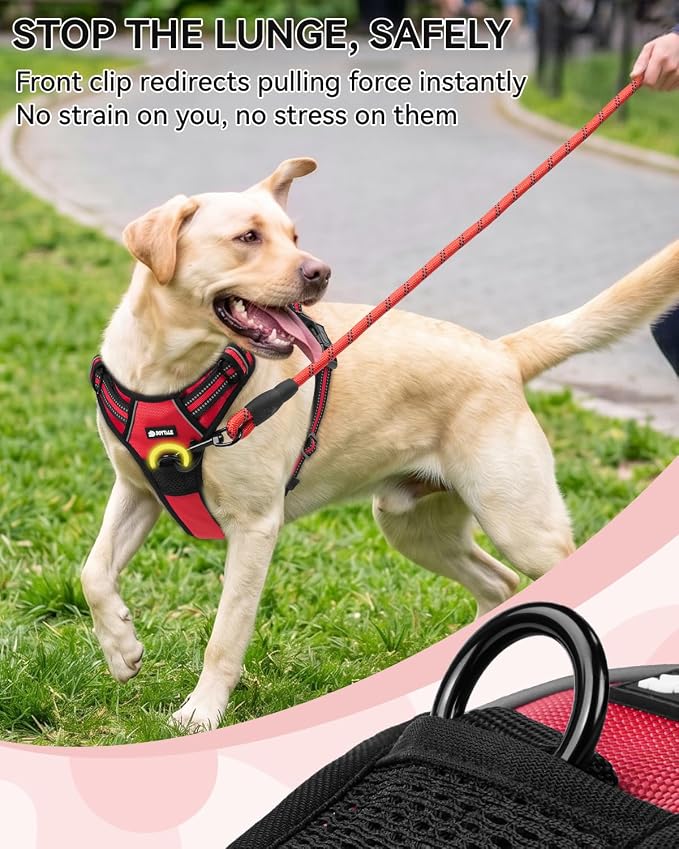 Joytale No Pull Dog Harness & Seat Belt, Easy On 3-Buckle, S, Red | Front Clip Reduces Pulling, Escape-Resistant Design, Adjustable Fit, Soft Padding for Comfort, Secure Tether for Safer Travel - Image 4