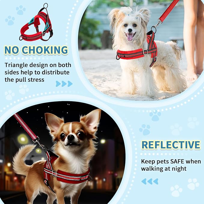 SlowTon No Pull Small Dog Harness and Leash Set with Front Clip | Soft Padded, Neck & Chest Adjustable, Lightweight, Anti-Twist, Puppy Vest Harness Pet Lead Combo for Small Medium Dog, R S - Image 3