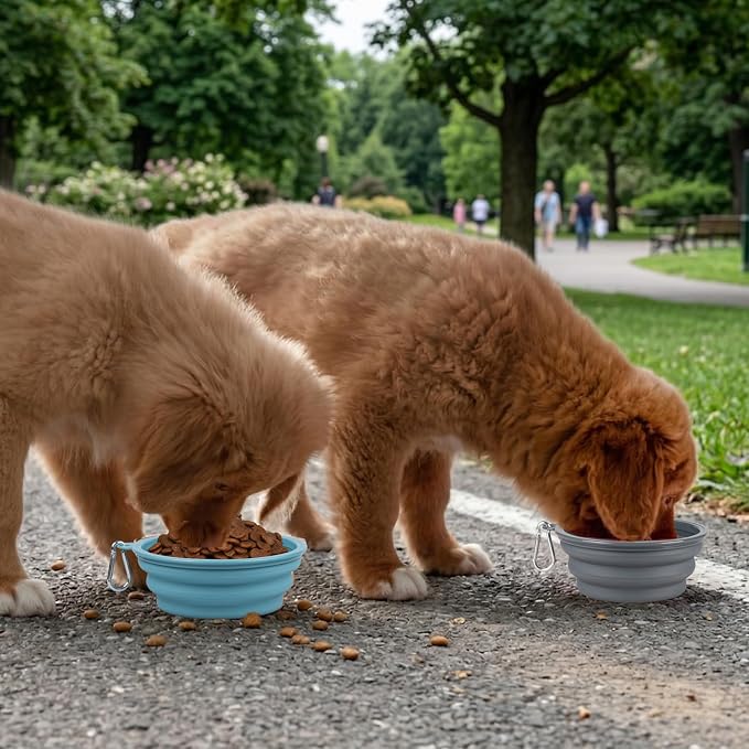 Kytely Collapsible Dog Bowls for Travel, 2Pack Dog Portable Water Bowl, Foldable Pet Food Bowl with Clasp, Pet Cat Feeding Cup Dish for Traveling, Walking, Hiking - Image 8