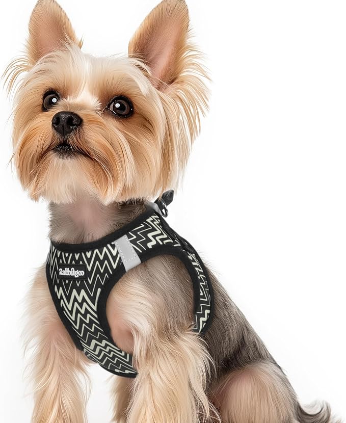 rabbitgoo Step-in Small Dog Harness, Puppy Vest for Small Sized Pet | Easy Put on and off, Lightweight, Soft, Breathable Quick-Dry Air Mesh for Comfortable Secure Walking, Black Zigzag XS by rabbitgoo