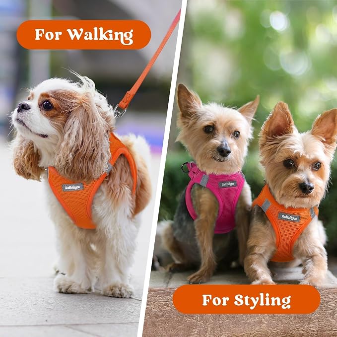 rabbitgoo Step-in Small Dog Harness, Puppy Vest for Small Sized Pet | Easy Put on and off, Lightweight, Soft, Breathable Quick-Dry Air Mesh for Comfortable Secure Walking, Orange XS - Image 9