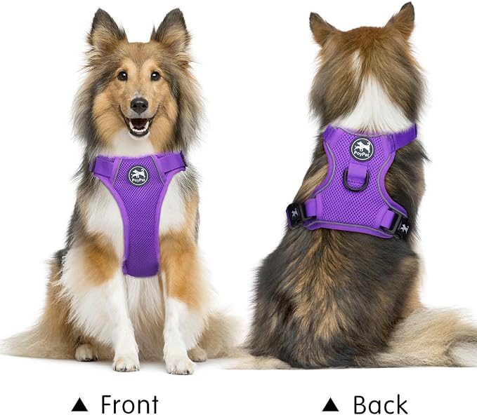 PoyPet Mesh Dog Harness, Reflective Breathable Puppy Vest for Small Dogs | Lightweight, Soft Air Mesh, Back D-ring, Adjustable, Comfortable, Double Padded, No Choke, for Daily Walking, S, Purple - Image 3