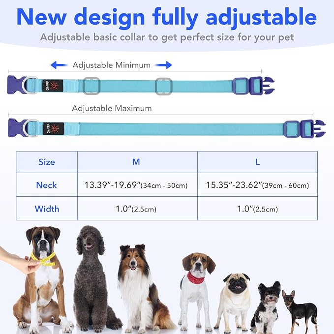 Only Half The Collar Lights LED Dog Collar Light Up Dog Collars USB Rechargeable, Adjustable Size Heavy Duty TPU Nylon Webbing Glow Safety Basic Dog Collars for Large Medium Dogs (M, Royal Blue) - Image 5