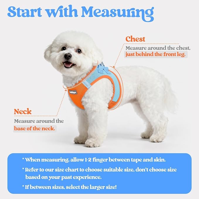 rabbitgoo Dog Harness Small Sized and Leash Set, Step-in Puppy Pet Vest | Light, Soft, Breathable Air Mesh, Easy on and Remove with Hook & Loop, Secure Reflective for Walking, Blue & Orange XS - Image 2