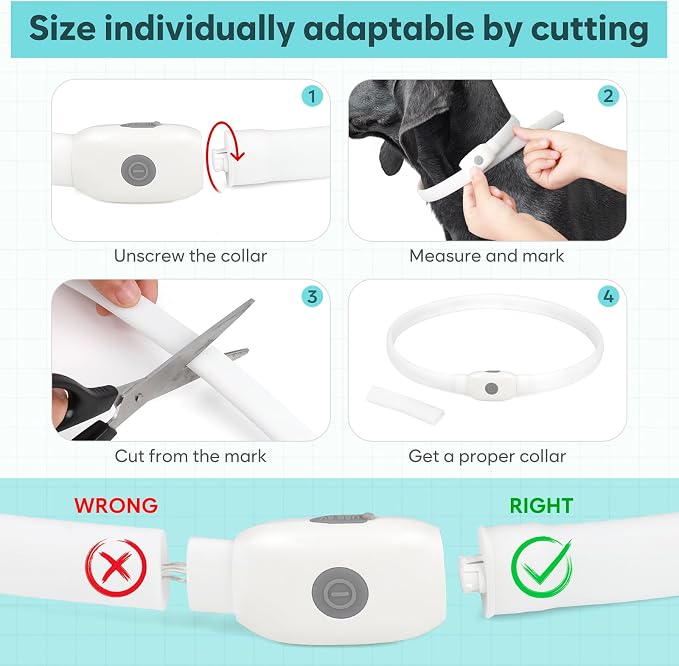 HIGO RGB LED Dog Collar Light - USB Rechargeable Light Up Dog Collars, Safety LED Dog Necklace for Your Dogs Walking at Night (Multi-Color) - Image 5
