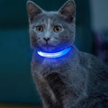 Light up Dog Collar for Small Dog,Vizpet XS Adjustable Size Nylon Collar USB Rechargeable Bright Safety Pet Collar for Cats Dogs (Blue) by VIZPET