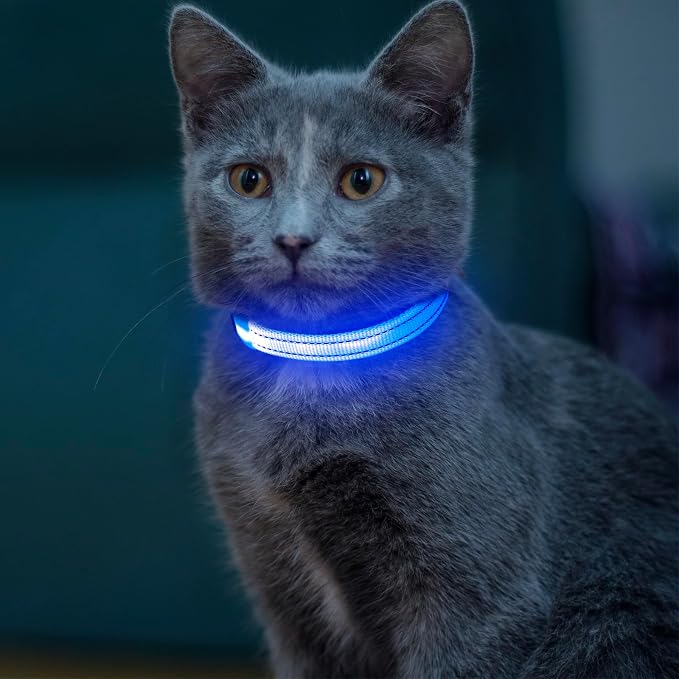 Light up Dog Collar for Small Dog,Vizpet XS Adjustable Size Nylon Collar USB Rechargeable Bright Safety Pet Collar for Cats Dogs (Blue) by VIZPET